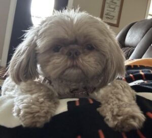 Lima Ohio home 26.1% were married-couple households of Sophie Trent